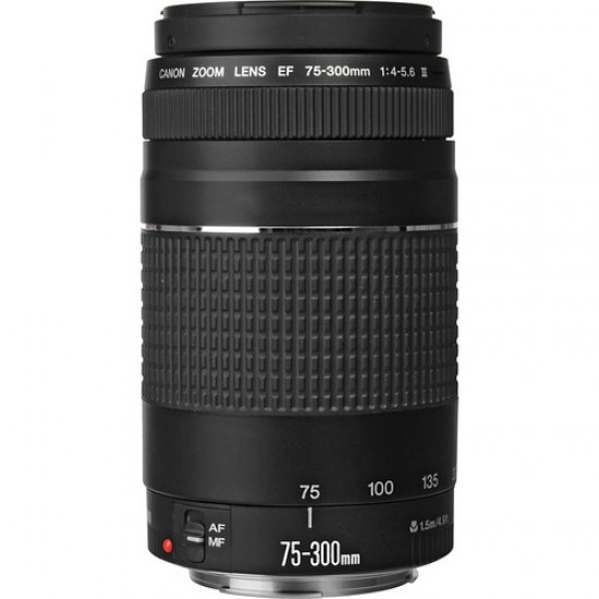Canon ZOOM LENS EF 75-300mm f4-5.6 II 望遠 Canon RF 75-300mm F4-5.6 Telephoto Zoom Lens - RF75300
